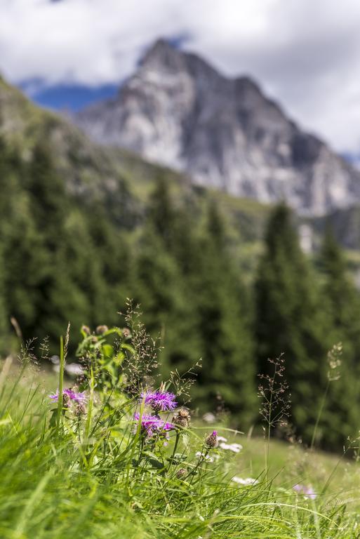 Aparthotel Pichler Colle Isarco Bagian luar foto